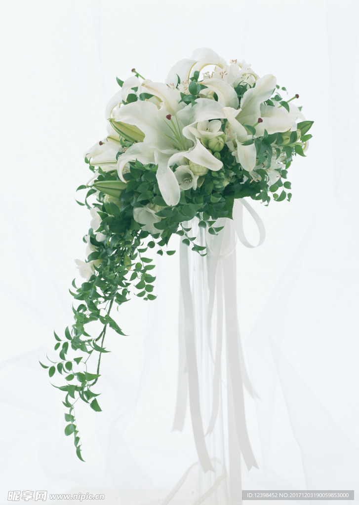 百合花