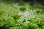 雪花