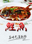 鲤鱼