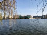 飞来湖风景