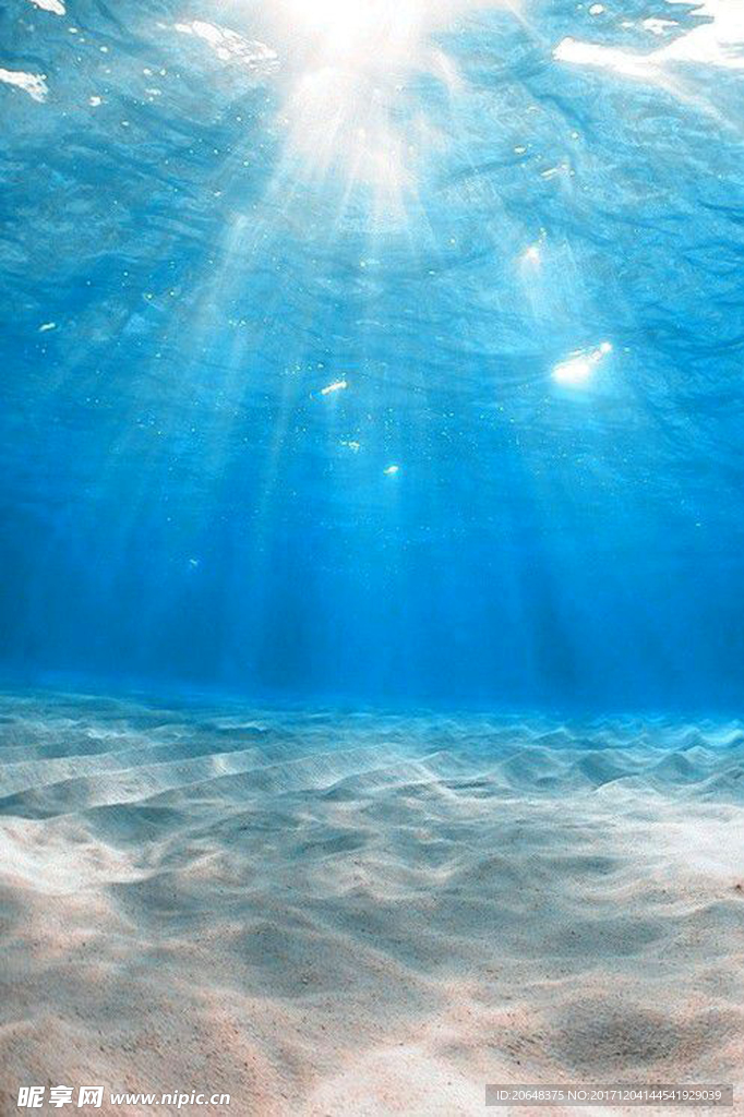 海底阳光