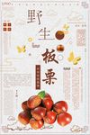 新鲜野生板栗美食海报设计
