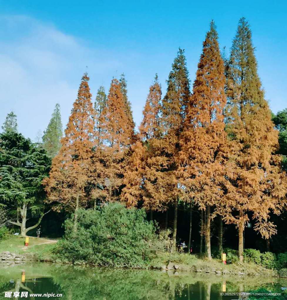 层林尽染