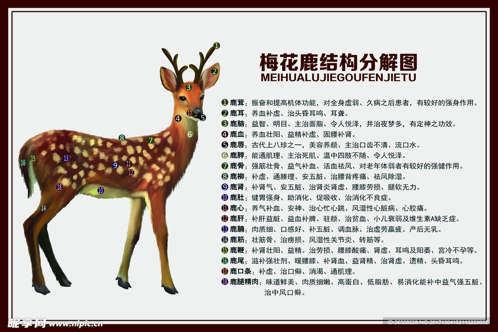 结构分解图