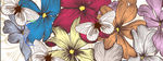 花纹底纹
