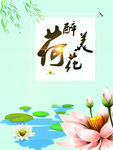 荷花海报 荷花背景 荷花广告