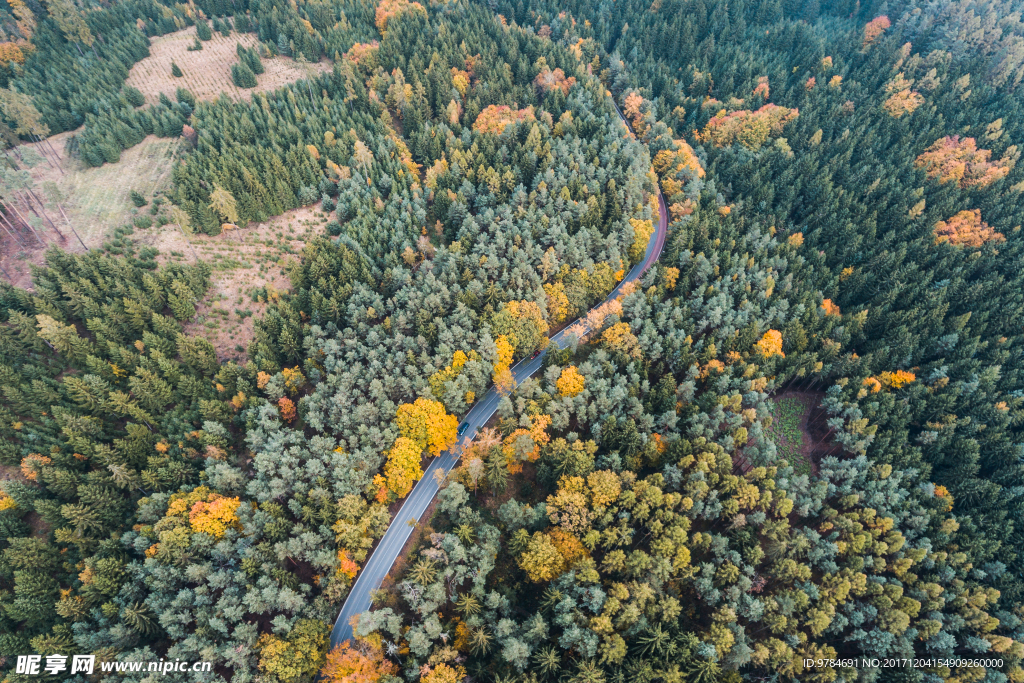 森林公路