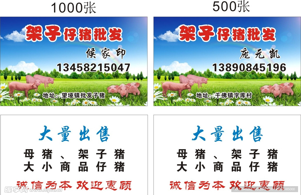 猪名片