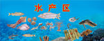 超市水产区