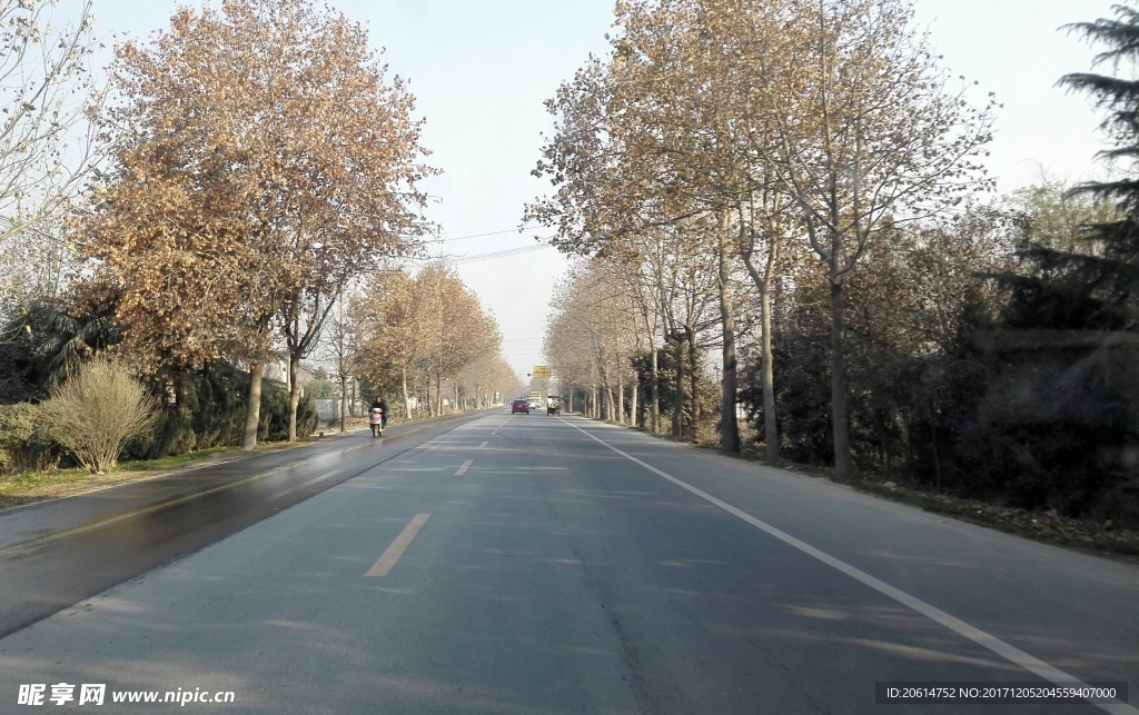乡村道路风景