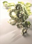 心型植物