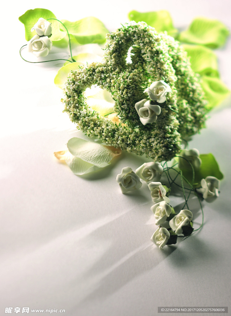 心型植物