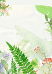 小清新背景