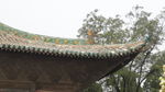山西建筑