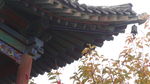 山西建筑
