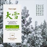 大雪节气海报