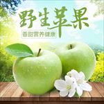 淘宝绿色新鲜水果苹果高清主图