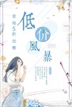 低价风暴海报