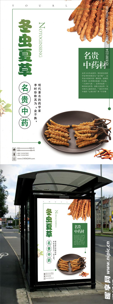 补品虫草海报设计