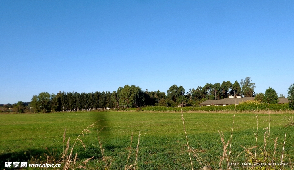 奥克兰小镇农场风景