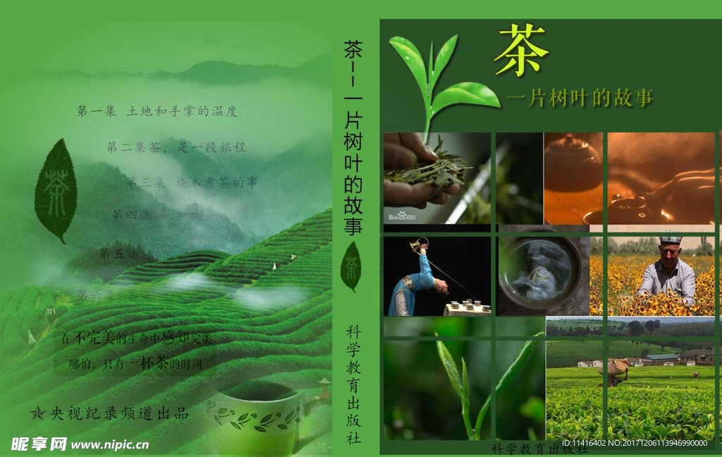 茶叶书籍封皮设计