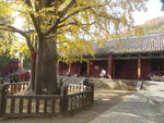法王寺秋景