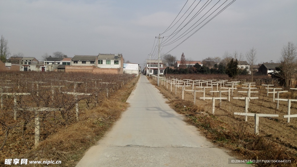 乡村道路风景