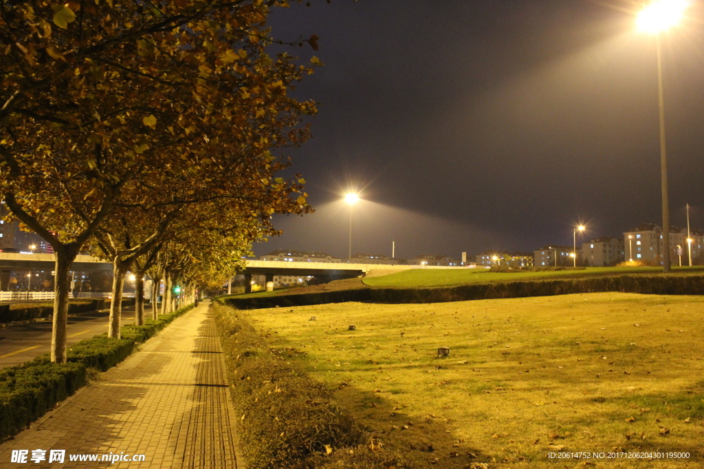 夜色下的公园风景