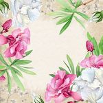彩绘中国画风花卉jpg背景素材