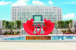 清远凤凰LOGO