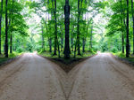 公路