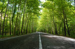 公路