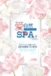 美容SPA促销海报
