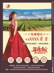 酒店宣传单