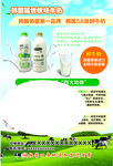 牛奶DM