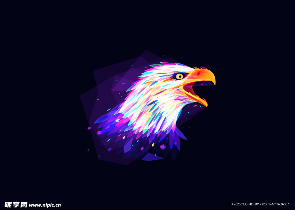 绚丽
