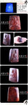 陈万福 琥珀