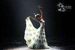 杨丽萍  云南映象