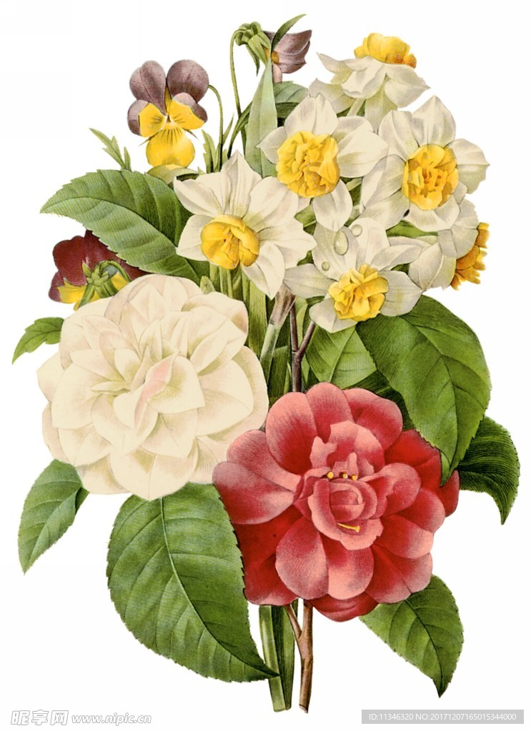 鲜花