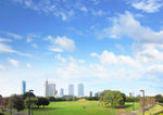 城市风景