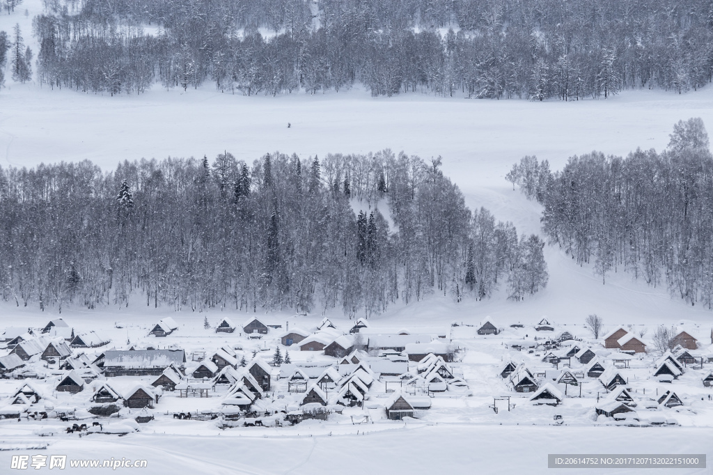 雪天下的村庄风景