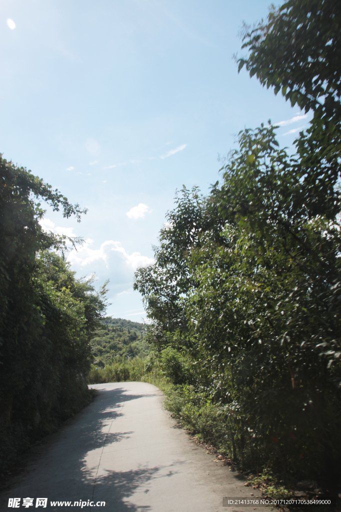 山路