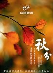 秋分