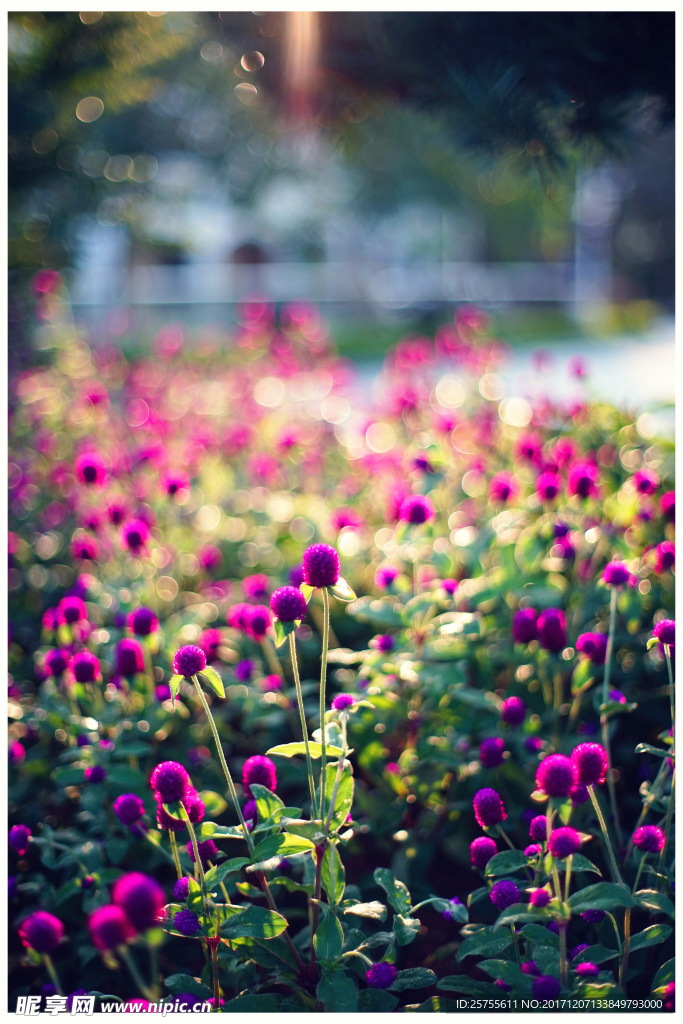 花