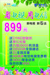 绿色海报