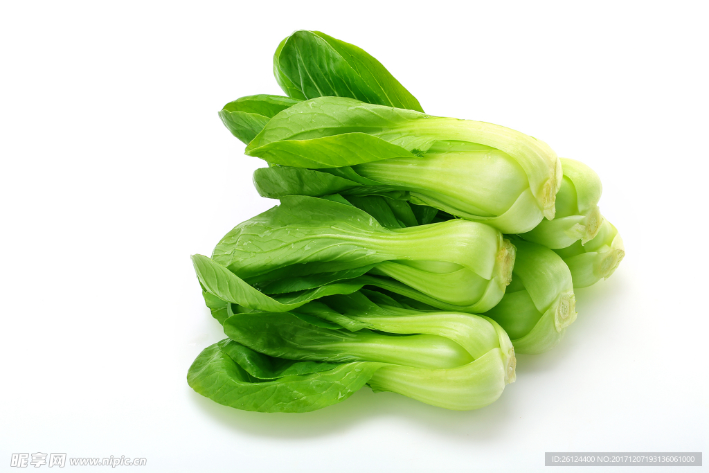 蔬菜