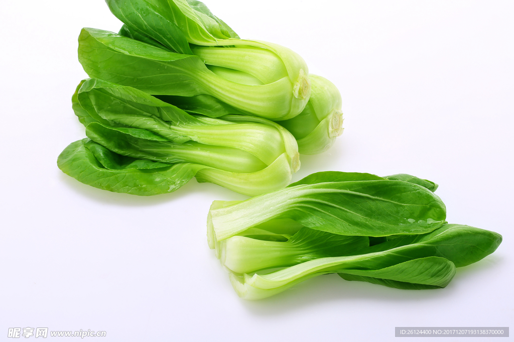 青菜