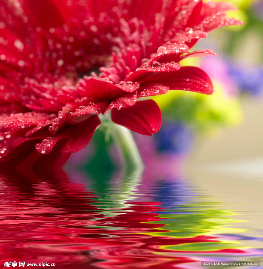 花