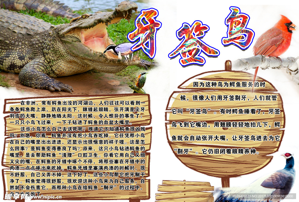 牙签鸟