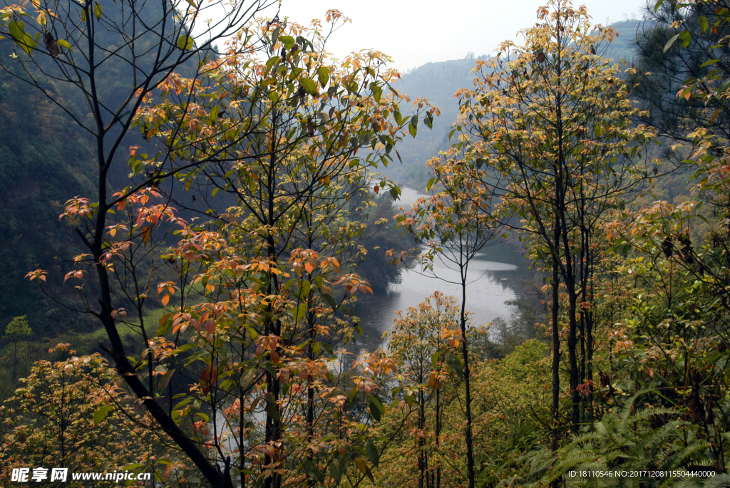 涪溪河风景